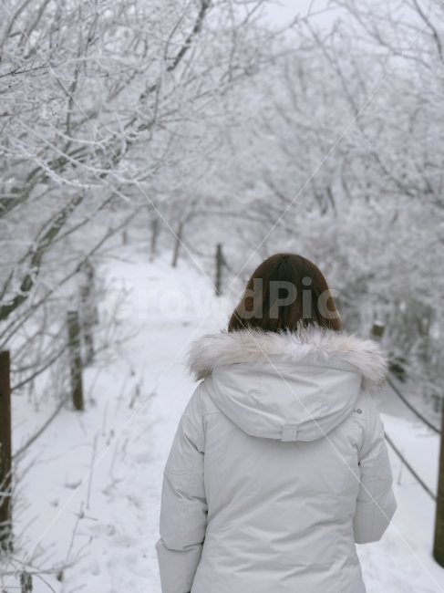 눈꽃,설경,겨울산,산행,눈,뒷모습,사람,인물,상고대,겨울,계절,winter,season,사람,인물,인간,human,person,여성,여자,woman,female,lady