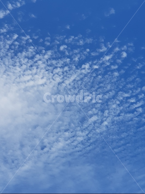 하늘,자연,구름,파란색,blue,natrure,새털구름,가을,nature,outdoors,옥외,azure sky,푸른 하늘,sky