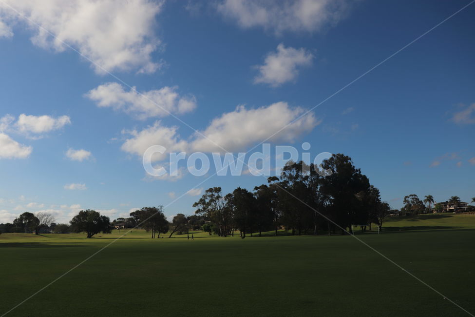grass,잔디,plant,식물,field,들,outdoors,옥외,나무,공원,구름,하늘,자연,풍경,nature,landscape,나무,trees,wood,golf course,골프 코스