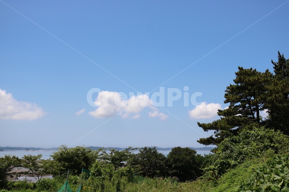 여름,하늘,파랑,나무,초록,자연,summer,natsu,sky,sora,blue,ao,skyblue,sorairo,tree,ki,green,midori,nature,구름,흰색,cloud,kumo,white,shiro,서해,바다,갯벌,westsea,sea,saikai,umi,자연,풍경,nature,landscape,outdoors,옥외,plant,식물,weather,날씨