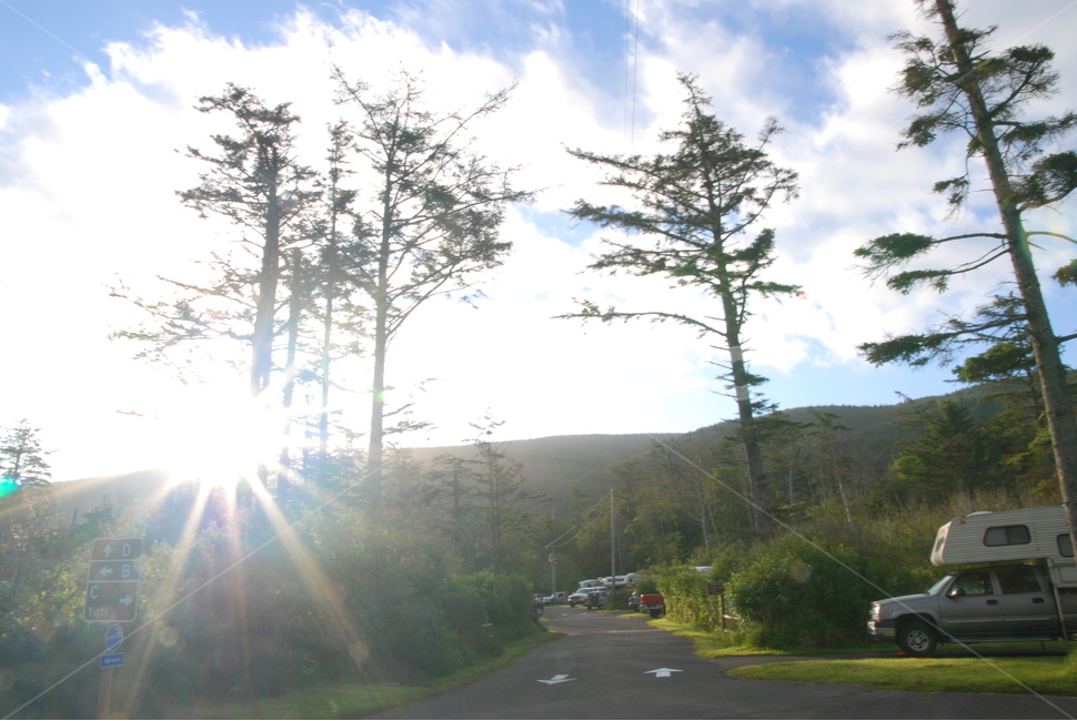 주차장,햇살,푸른하늘,아침,상쾌한,햇빛,광선,나무,푸른,trees,sky,sunray,parkinglot,morning,brisk,flare,플레어,light,빛,tarmac,눈부신,radiant,dazzling,타맥,아스팔트,asphalt,자연,풍경,nature,landscape