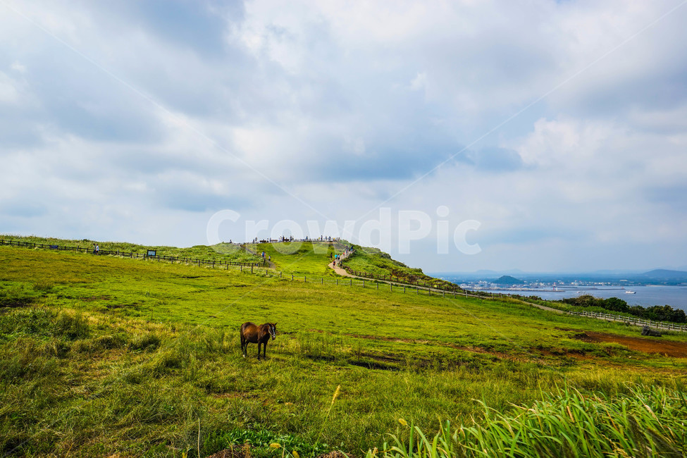 제주도,우도,우도봉,말,풍경,하늘,구름,자연,한국자연풍경,바다,제주,푸른,맑음