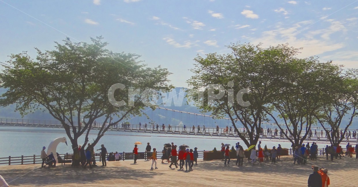 출렁다리,사람,나무,자연,하늘,강,person,tree,bridge,river,nature,sky,water,human,물,인간,관광