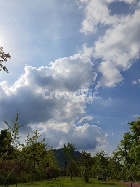 구름,회색,빛,해,풍경,여름,나무,자연,풍경,nature,landscape,weather,날씨,outdoors,옥외