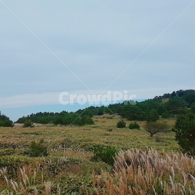 산,하늘,구름,식물,풍,나무,자연,풍경,nature,landscape,outdoors,옥외