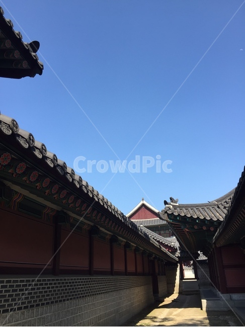 창경궁,고궁,한옥,기와,지붕,roof,temple,architecture,한국전통,한국문화,korean traditional,korean culture