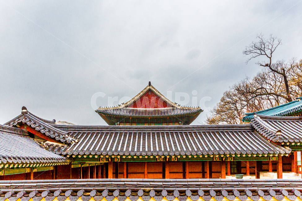 고궁,기와,문화재,창덕궁,문화유산,관광명소,담장,전통담,고궁의담장,한국의미,한국전통,한국문화,korean traditional,korean culture,랜드마크,landmark,tourist attraction,한국랜드마크,한국관광지,한국명소,korea landmark,korea tourist attraction,건축물,건물외관,exterior,building,structure,architecture,construction