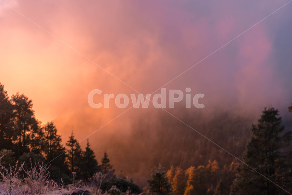 안개,아침,fog,산,숲,구름,nature,tree,일출,sunrise,mountain,풍경,landscpe,자연,풍경,nature,landscape