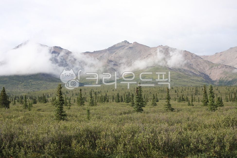cloud,tundra,mountain,Denali National Park,nature,trekking,alaska,sight,Alaska,denalinationalpark