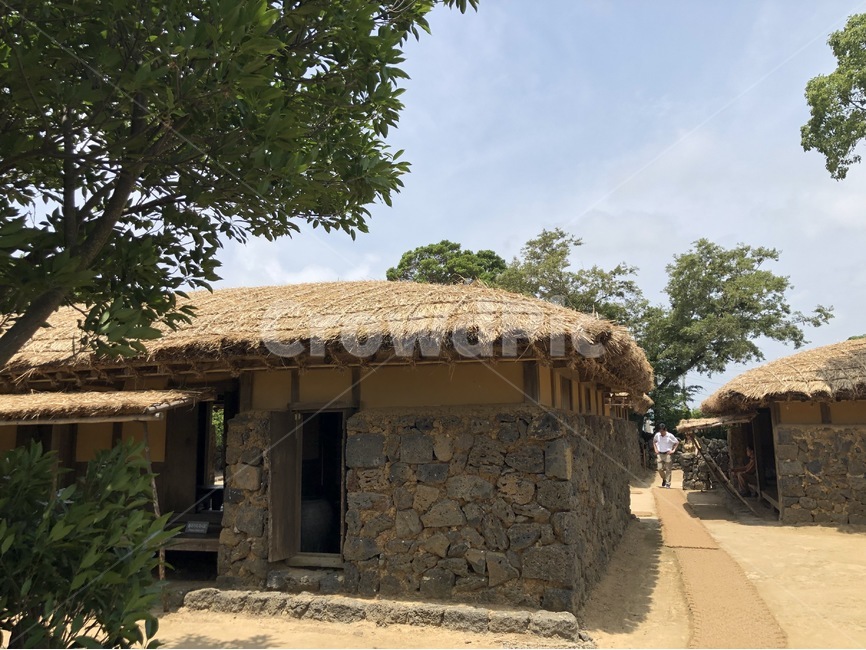 제주도,김정희추모관,민속집,돌담,여름,추모관,정겨운,하늘,전통