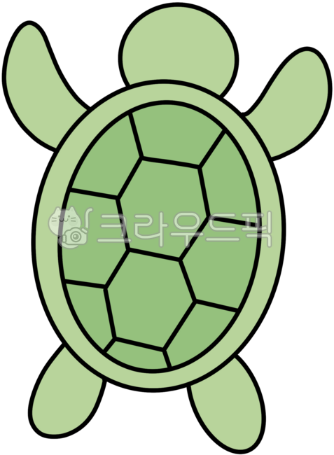 거북이,바다,거북이일러스트,동물,바다생물,스케치