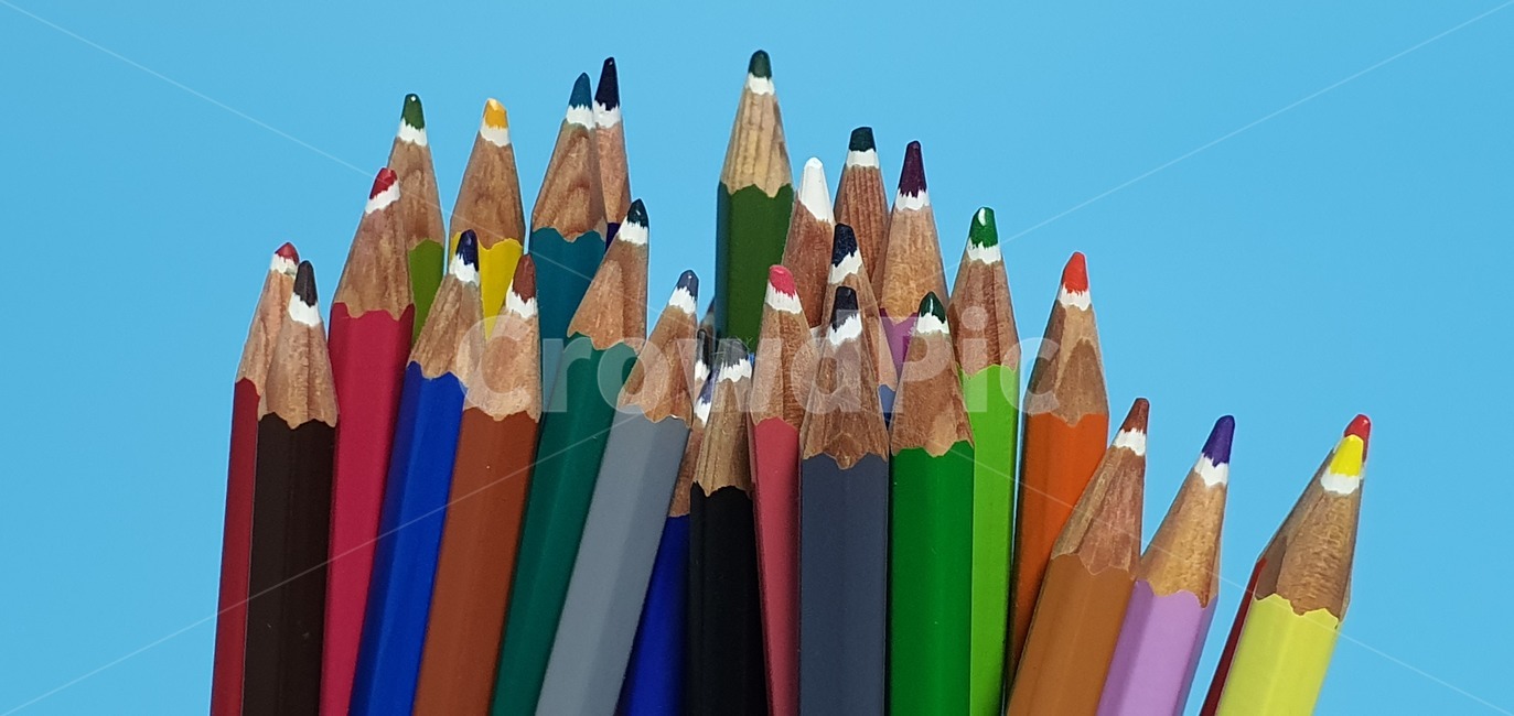 색연필,연필,컬러,색상,화려,나무,색칠,education,pencil,art,wood,color,colorful,school,isolated,equipment,white,drawing,design,draw,green,paint,object,wooden,blue,colour,rainbow,sharp,office,red,yellow,orange,spectrum,학용품,문구류,사무용품,school supplies,stationery,office supplies