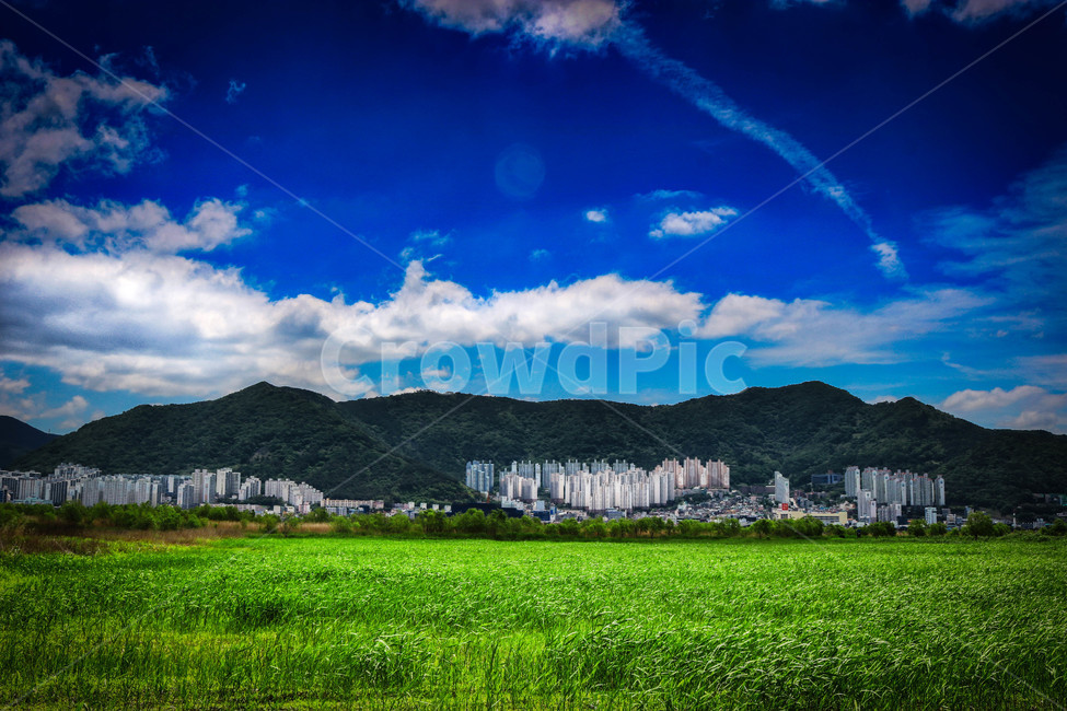 초원,공원,풍경,생태공원,맥도생태공원,부산공원,낙동강,강,하구둑,도시,풍경,city,landscape,한국도시풍경,한국도시경관,korea cityscape,nature,자연,outdoors,옥외,grassland,목초지,field,들
