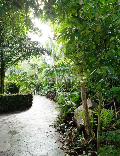 정원,garden,초록색,식물,plant,자연,풍경,nature,landscape