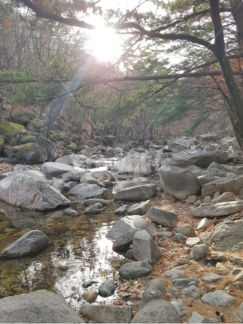 바위,산,계곡,물,나무,자연,돌맹이,water