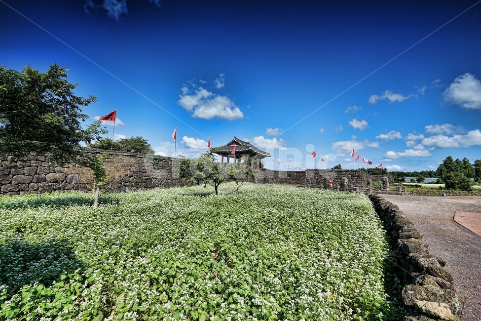 파란하늘,성읍,구름,봄,여름,가을,풀,산책,한국전통,한국문화,korean traditional,korean culture,랜드마크,landmark,tourist attraction,한국랜드마크,한국관광지,한국명소,korea landmark,korea tourist attraction