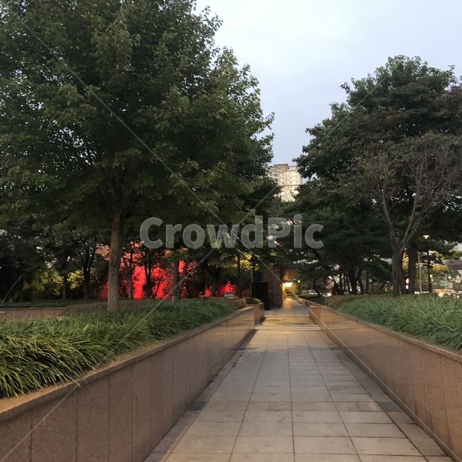 path,통로,거리,나무,한국풍경,korea,street