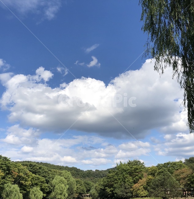 구름,자연,하늘,나무,파란,자연,풍경,nature,landscape,outdoors,옥외,weather,날씨,cumulus,적운,cloud,sky