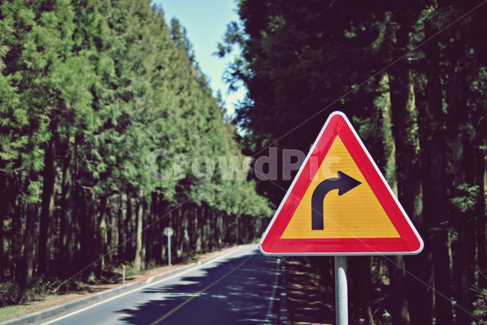 제주도,사려니숲길,사려니,도로,우회전