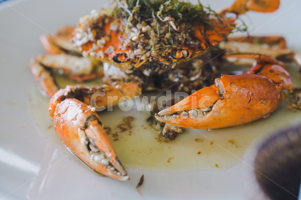 shelf,선반,음식,고급,레스토랑,게,crab,음식,식재료,요리,food,cook,meal,dishes,food reserves,수산물,해산물,fishery products,seafood