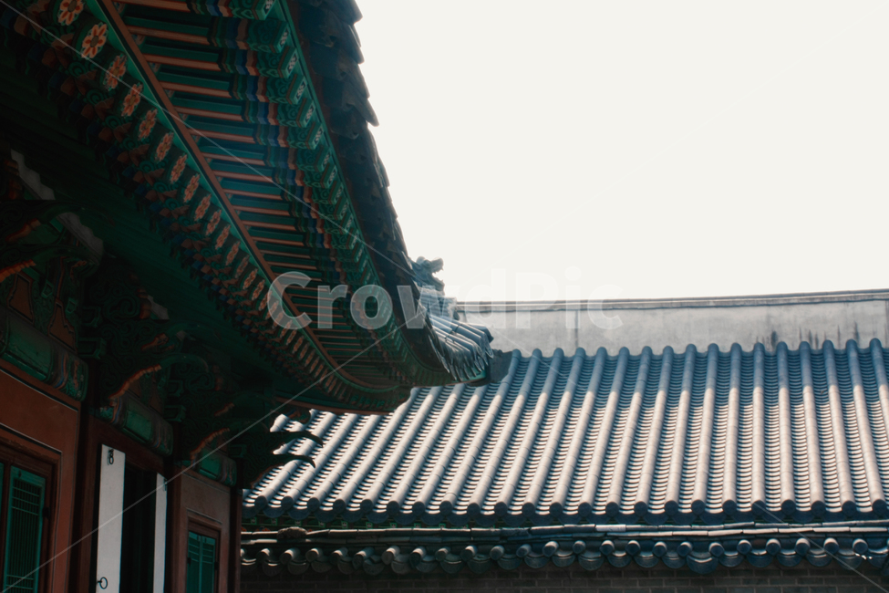 기와,roof,지붕,한옥,한국,청기와,목조건물,목재건물,전통가옥,전통미,한국미,한국건축,한국전통,한국문화,korean traditional,korean culture,건축물,건물외관,exterior,building,structure,architecture,construction