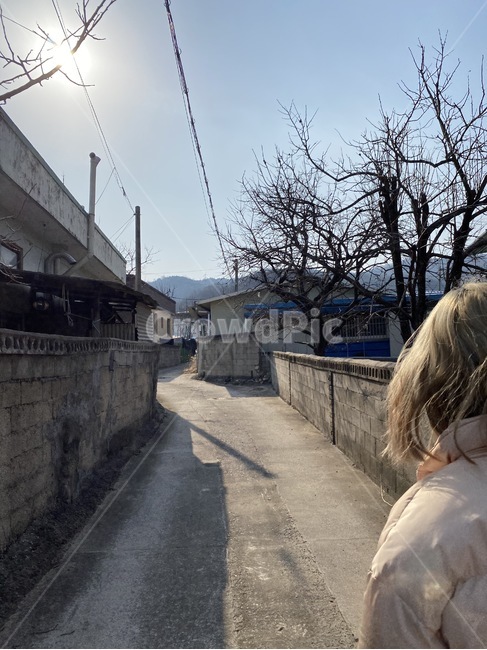 person,도로,사람,human,인간,road,여자,여자뒷모습,여성,나무,뒷모습,촌