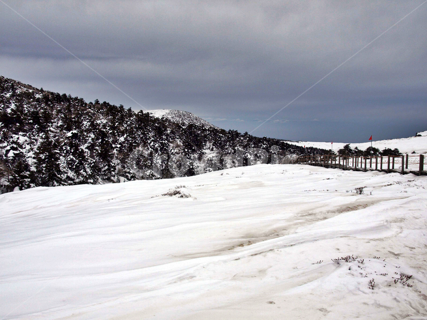 어리목,제주도,한라산,겨울산,겨울,설경,설화,눈,겨울,계절,winter,season,자연,풍경,nature,landscape,outdoors,옥외,mountain,산