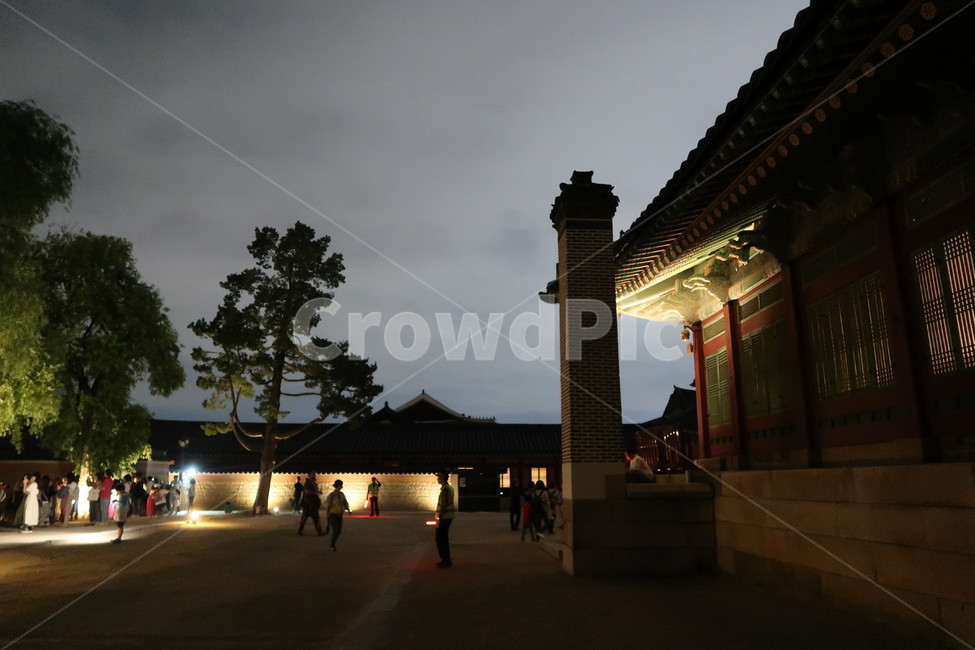 경복궁,한국,전통,동양풍,건물,자연,컬러,gyeongbokgungpalace,korea,traditional,orientalstyle,buildings,nature,tree,plant,stone,color,조선시대,궁궐,야경,밤,풍경,nightscape,night,landscape,랜드마크,landmark,tourist attraction,한국랜드마크,한국관광지,한국명소,korea landmark,korea tourist attraction