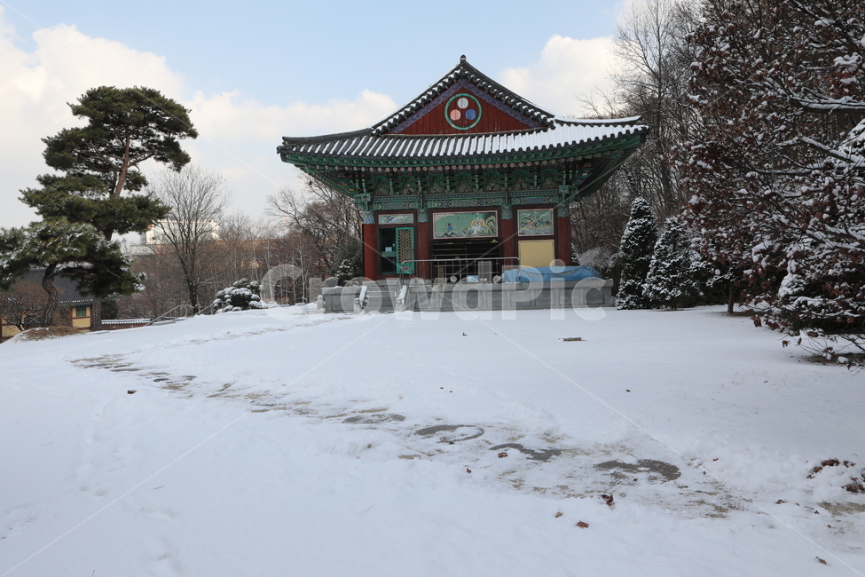 겨울,하늘,구름,절,소나무,겨울,계절,winter,season,한국전통,한국문화,korean traditional,korean culture,건축물,건물외관,exterior,building,structure,architecture,construction