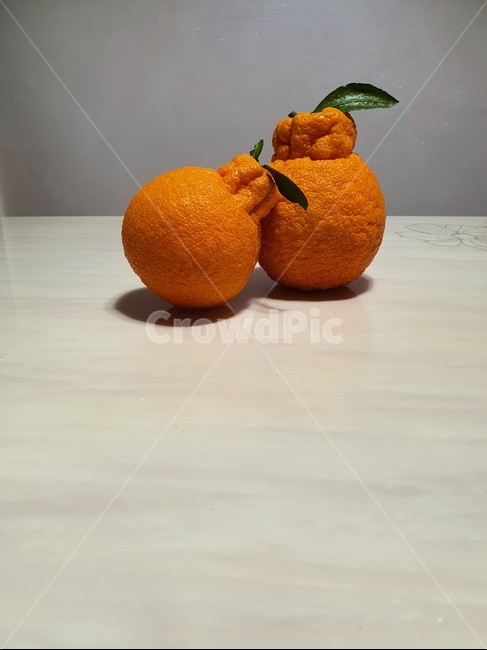plant,식물,citrusfruit,감귤류과일,음식,food,fruit,한라봉,연출,컨셉,과일