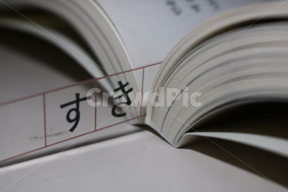 원고지,글씨,글자,배경,조명