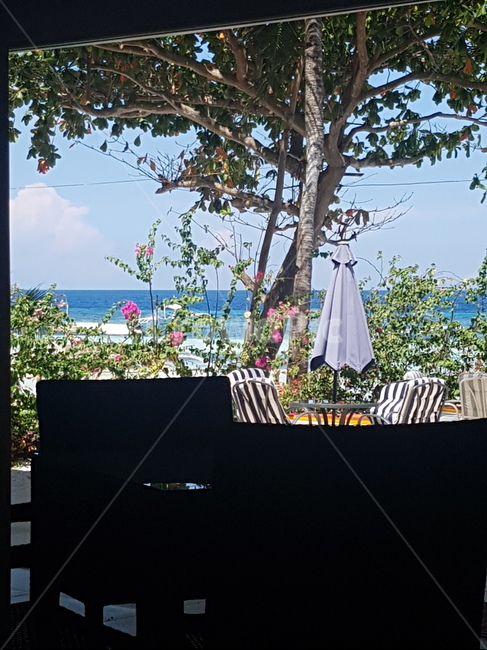 여름,카페,휴식,휴양지,바다,나무,꽃,파라솔,의자,테이블,summer,cafe,vacance,beach,relax,cebu,philippines,세부,필리핀