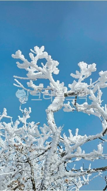 Deogyusan Mountain,Deogyusan Mountain,Muju Deogyusan Mountain,Deogyusan Mountain Snow Flower,Sanggodae Mountain,Snow Flower Hiking
