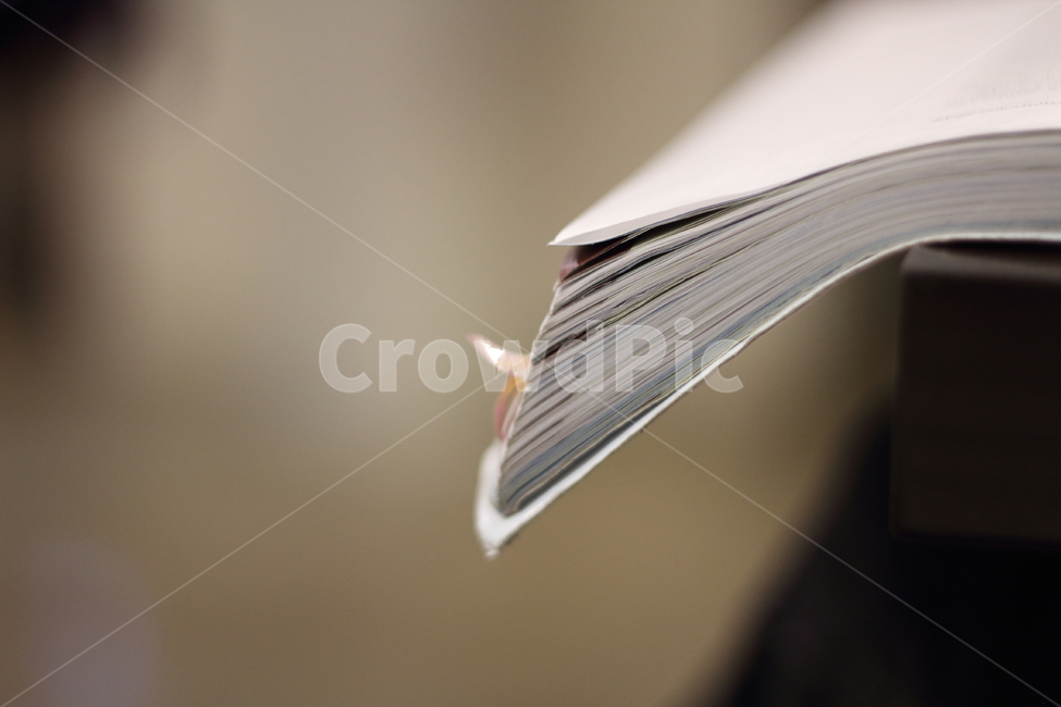 공부,책,전공책,study,textbook,book