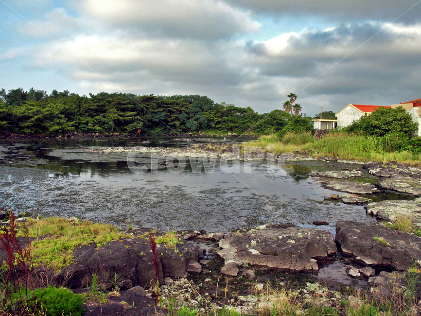 대섬,철새도래지,제주,올레18코스,올레길,자연,풍경,nature,landscape,제주도,jeju,jeju island,outdoors,옥외