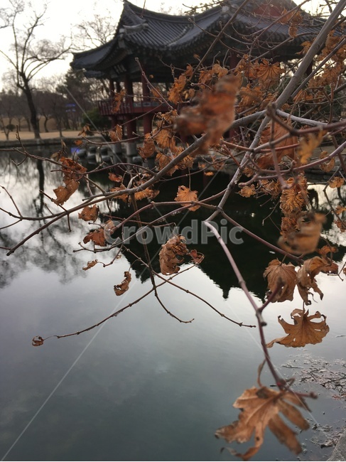 광한루,광한루원,완월정,연못,대칭,남원,gwanghallu,gwanghallupavilion,wanwoljeong,wanwoljeongpavilion,pond,symmetry,namwon,한국전통,한국문화,korean traditional,korean culture,랜드마크,landmark,tourist attraction,한국랜드마크,한국관광지,한국명소,korea landmark,korea tourist attraction