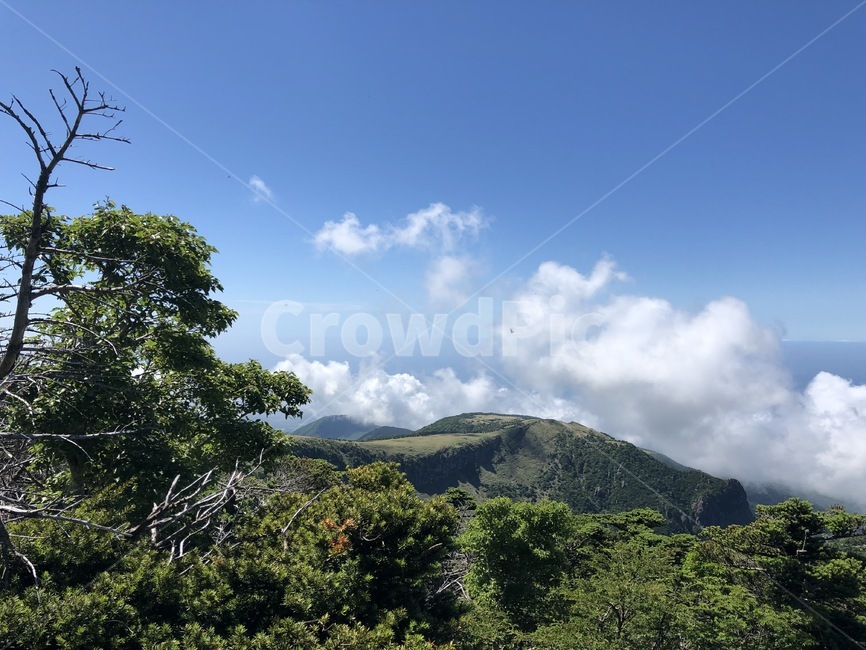 나무,구름,하늘,맑은날씨,자연,자연,풍경,nature,landscape,outdoors,옥외