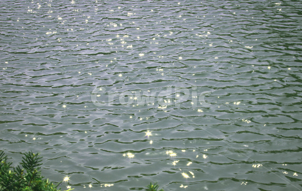 물,water,반짝,물비늘,일렁,잔물결,청량,힐링,감성,잔잔한,편안함