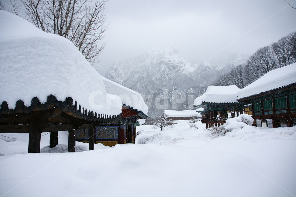 신흥사,설악산,사찰,풍경,겨울,겨울,계절,winter,season,한국전통,한국문화,korean traditional,korean culture,건축물,건물외관,exterior,building,structure,architecture,construction