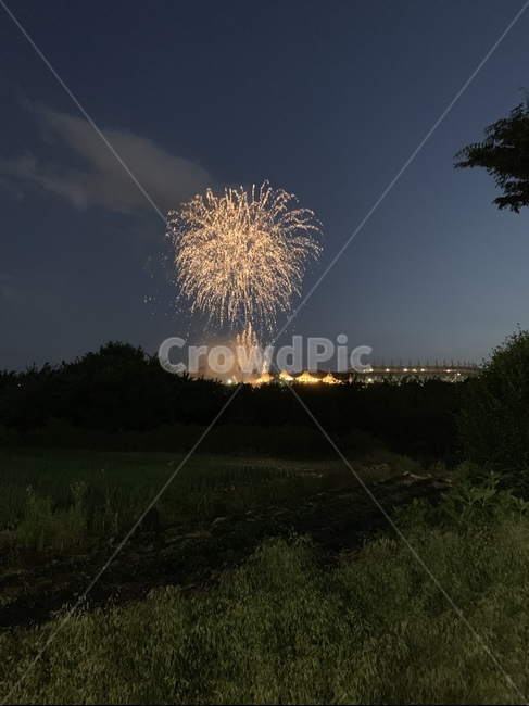 불꽃놀이,폭죽,하늘,축제,밤