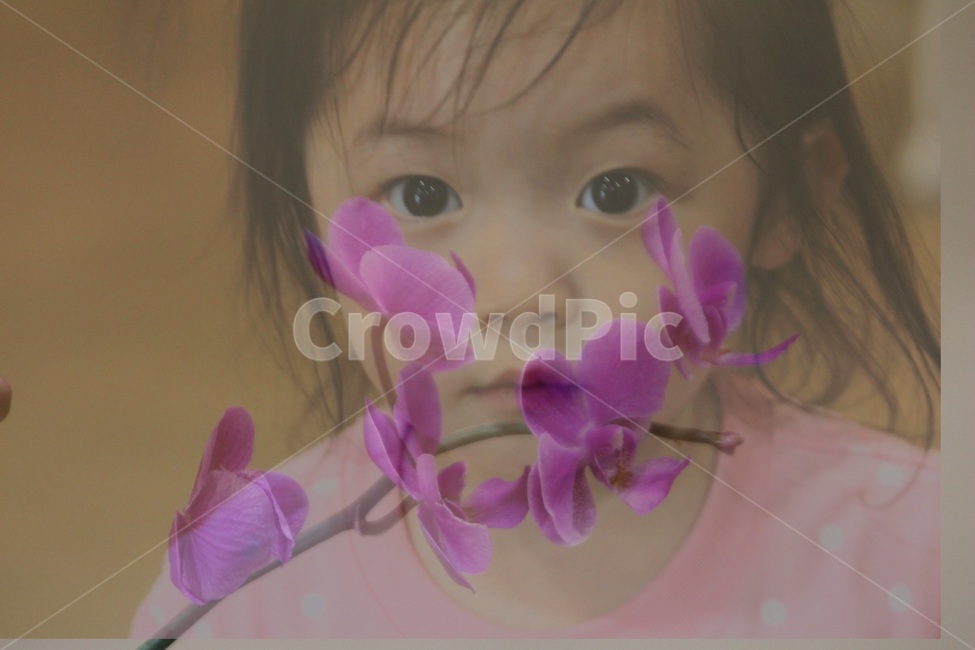 어린이,꽃,인물,사람,식물,인간,사랑,귀여움,예쁨,flower