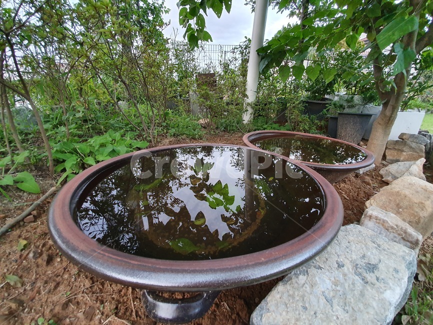 시골,시골집,농촌,정원,항아리,도자기,pot,pottery,ceramics,물,water,자연,nature,야외