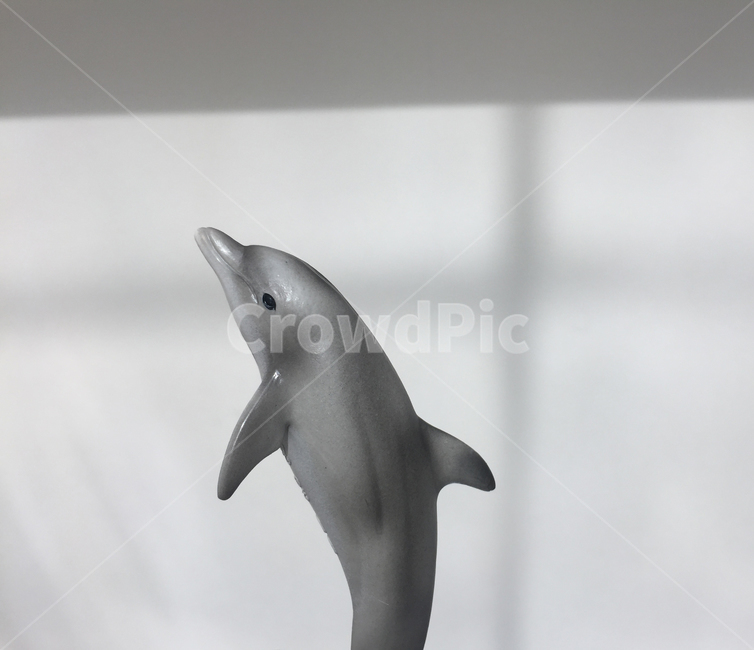 돌고래,피규어,dolphin,동물,figure,장난감