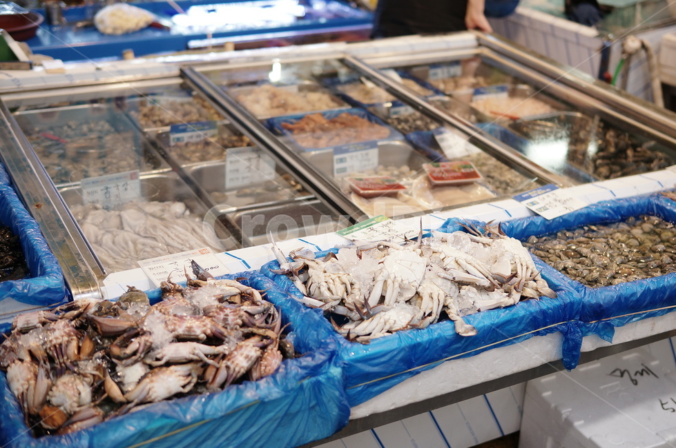 해산물,시장,냉장고,바다,생생함,시장,마트,마켓,market,mart,market place,음식,식재료,요리,food,cook,meal,dishes,food reserves,수산물,해산물,fishery products,seafood