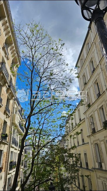 building,europe,tree,sky,between buildings,alley,cloud,landscape,scenery,neighborhood,medieval,medieval building,quiet,beautiful,medieval village,architecture,building city,travel destination,tourist attraction,secluded,peaceful,house