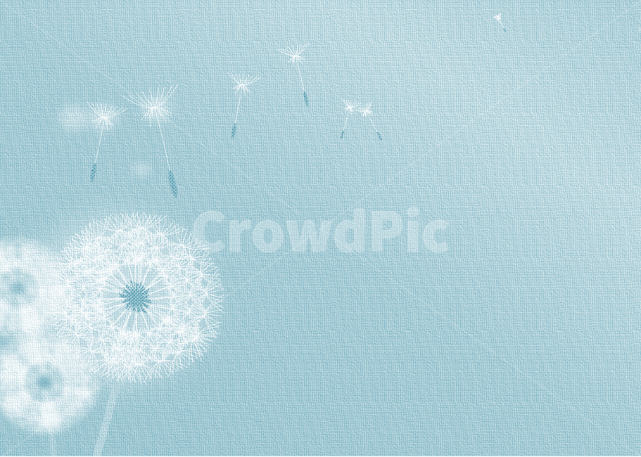 ppt background,background,emotional,Dandelion seeds,Mr Hall,dandelion background,PowerPoint background,dandelion,Mint color background