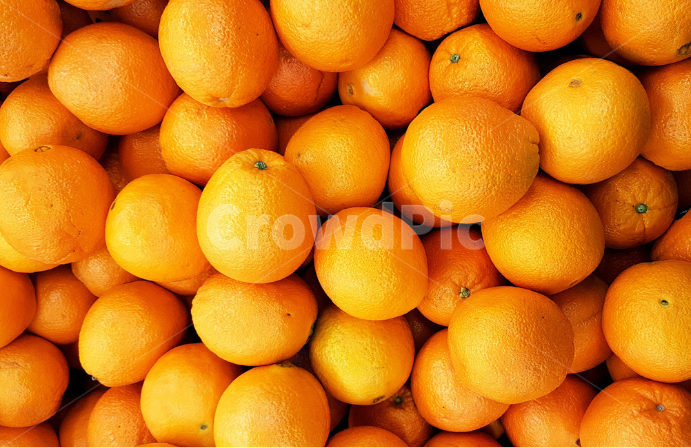 오렌지,한라봉,과일,귤,fruit,후르츠,orange,음식,식재료,요리,food,cook,meal,dishes,food reserves,과일,열매,fruit