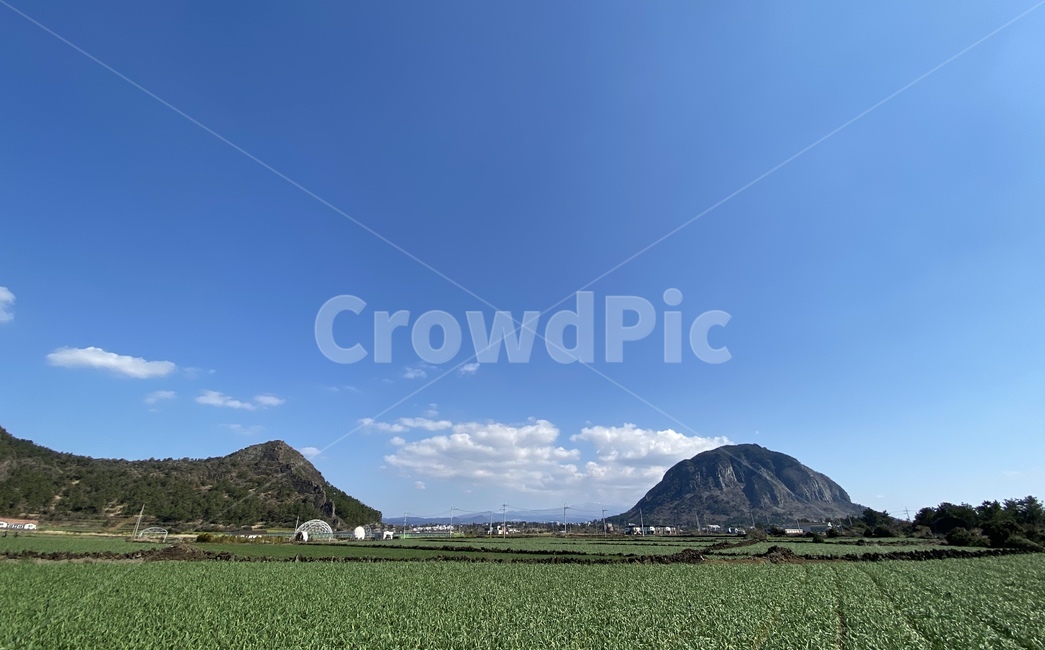 산방산,제주,nature,자연,outdoors,옥외