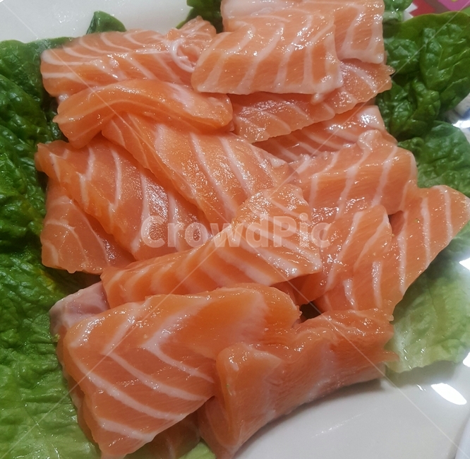 연어,음식,생선,회,salmon,어류,물고기,fish,음식,식재료,요리,food,cook,meal,dishes,food reserves