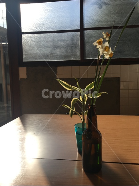 탁자,꽃,감성,꽃감성,아침,꽃,flower